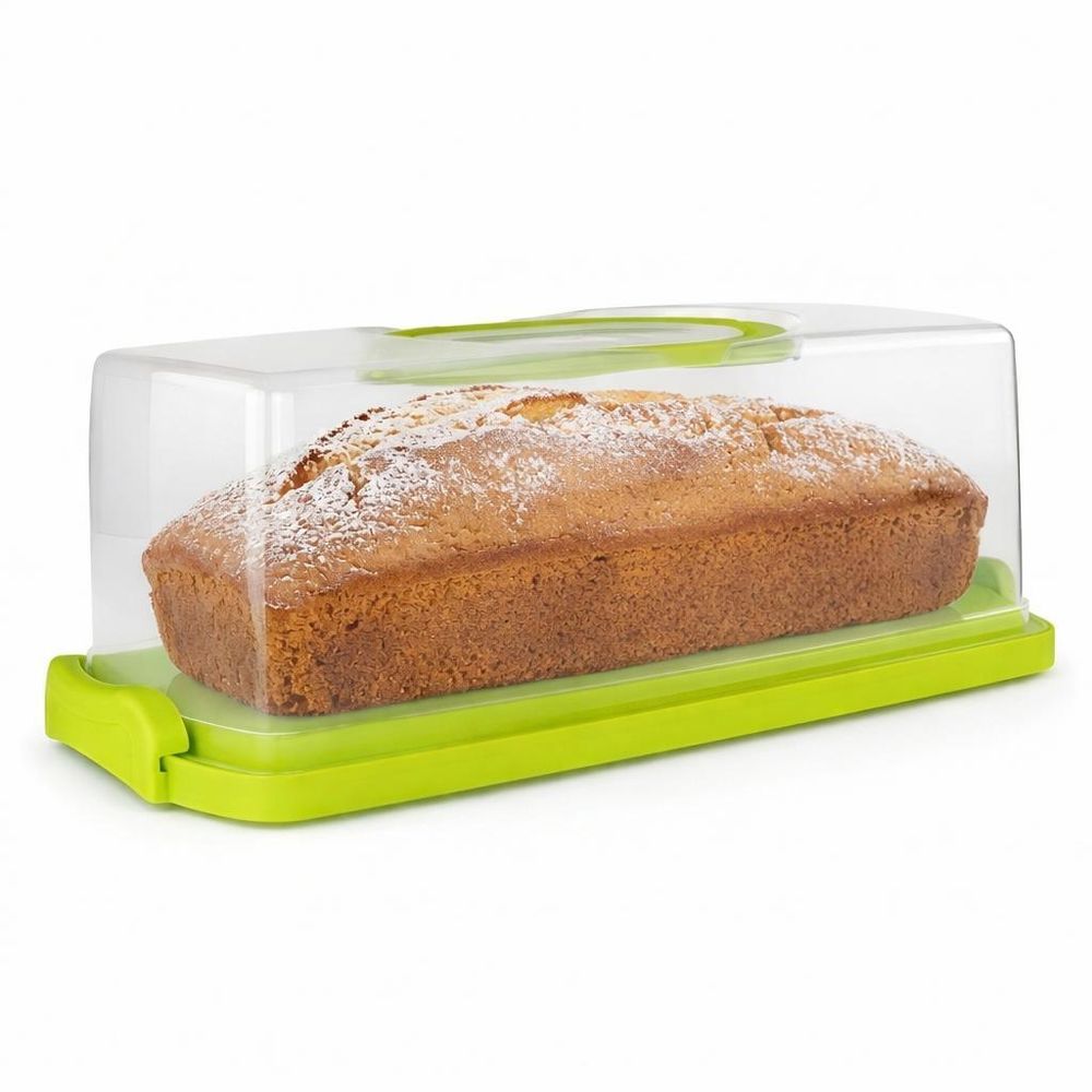 WELLHAUS Kuchenbehälter Grün 36 x 16 x 13,3 cm – Transportbox mit Deckel