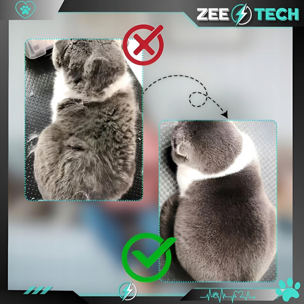 Dampfbürste Für Katzen Hunde Tiere Massager Kamm Elektrisches Fell