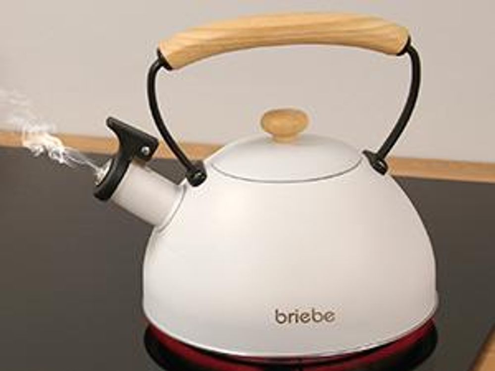 Briebe Nordic Wasserkessel Induktion Flötenkessel 2,3L Edelstahl, Holzgriff Weiß