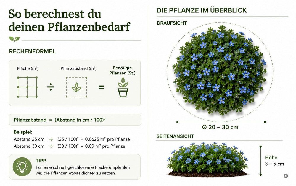 Cleane Infografik: Rechenformel + Draufsicht mit Maßlinien (Ø 20–30 cm, Höhe 3–5 cm). ACHTUNG vor de