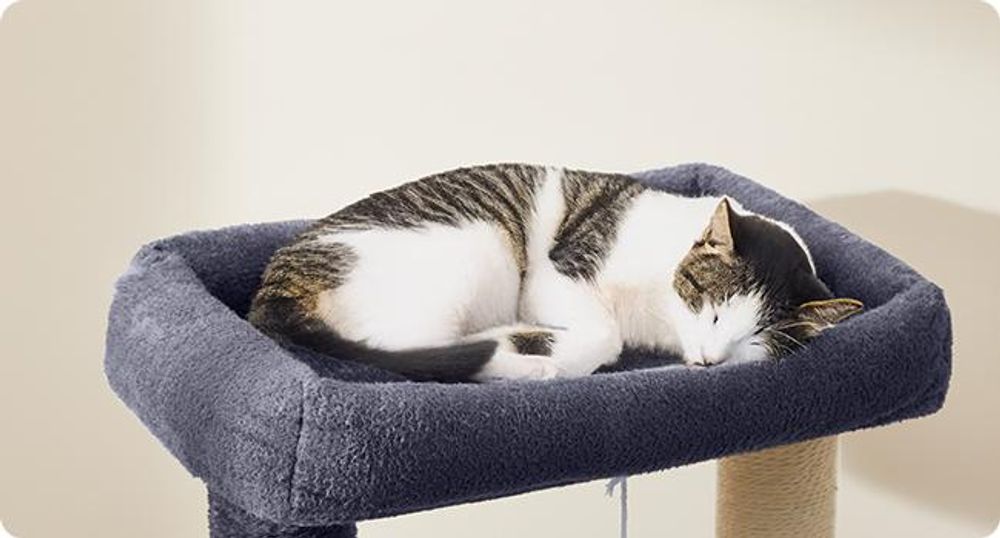 FEANDREA Kratzbaum für Raumecke, Katzenbaum, mit großer Kuschelhöhle, großen Plattformen, mehr Stabilität Dunkelgrau
