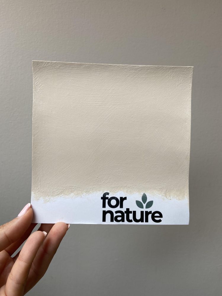 Farba wapienna Fornature LIMEA, próbnik koloru Oolit (Szarobeżowy), do ścian i sufitów wewnątrz