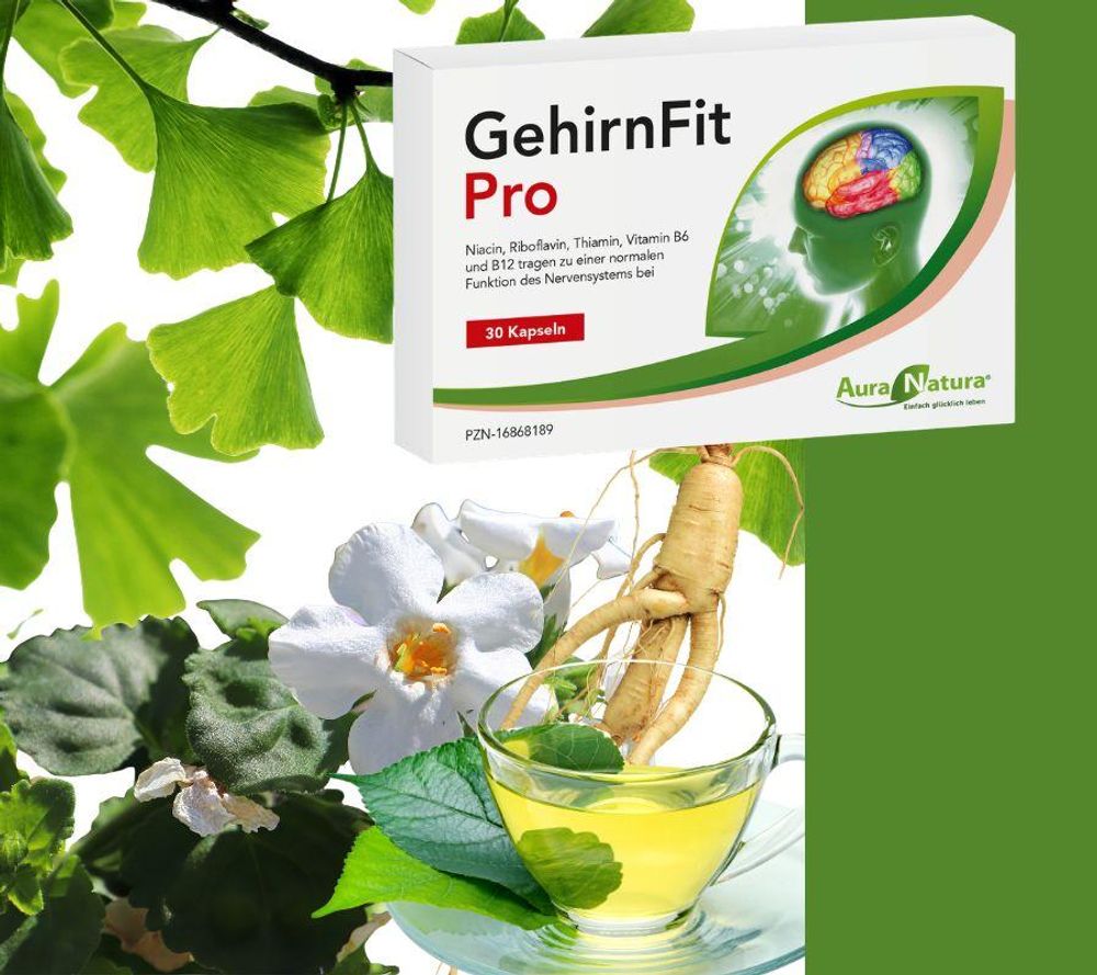Aura Natura® GehirnFit Pro – zur Unterstützung von Nerven, mentaler Leistung – mit Vitamin B Komplex | Enthält Astaxanthin, Bacopa Monnieri & Pflanzenextrakte | 30 Kapseln – 1 Monat Vorrat