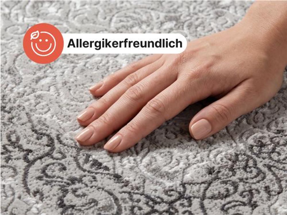 Tapiso Teppich ARES klassisch grau Wohnzimmer Schlafzimmer 200 x 300 cm