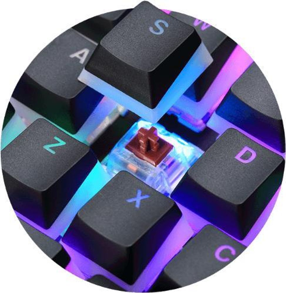PREYON Brown Blitz Claw Gaming - Klawiatura mechaniczna TKL bez klawiszy numerycznych, przełączniki Gateron Brown, klawisze w kolorze "pudding", podświetlenie RGB, obudowa z aluminium, klawiatura PC, kolor czarny