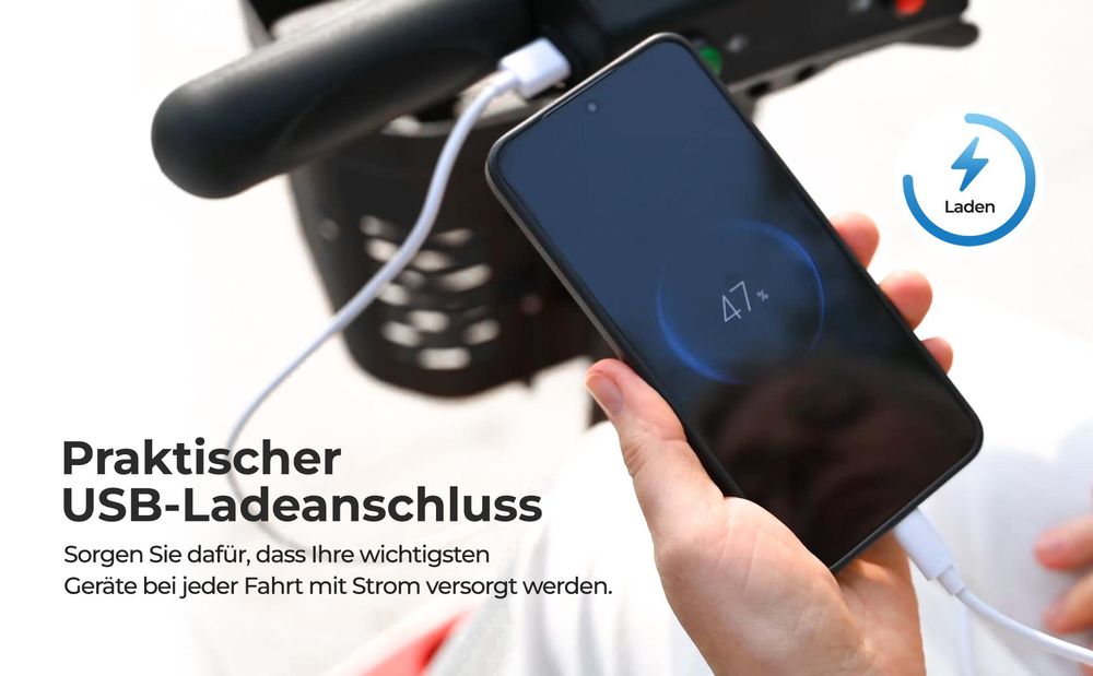 S2 Senioren-Elektromobil, 250W, 12Ah, Traglast bis 136 kg, 9-Zoll-Vollgummireifen, intelligente elektromagnetische Bremse, schwarz