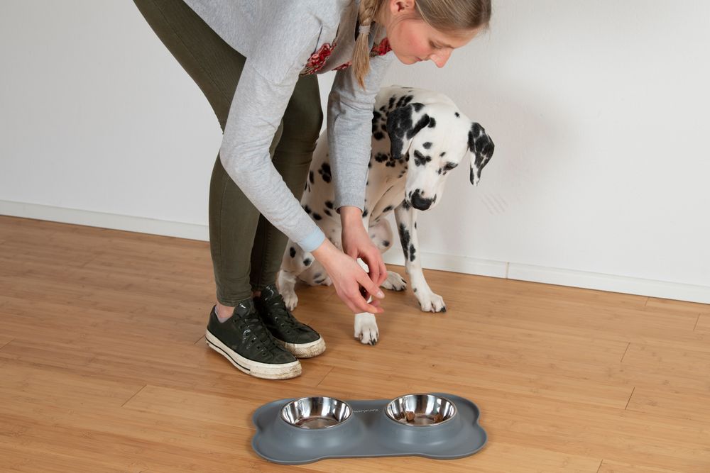 Silikonisches Futterbehälter mit Edelstahl-Futterbowl, für Katzen und Hunde, 200 ml, rosa