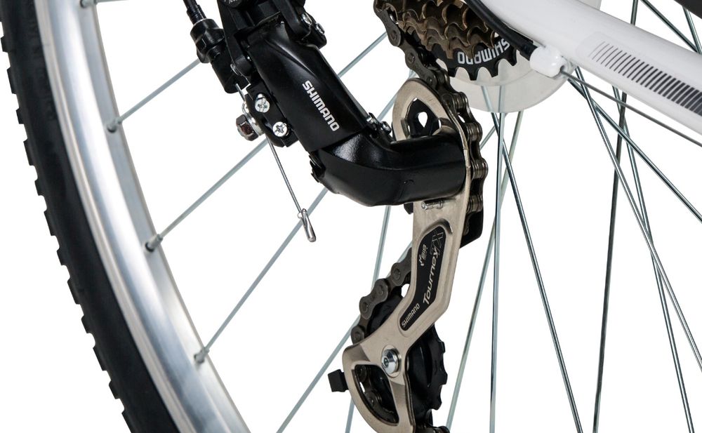 Bergsteiger Florenz Damenfahrrad 28 Zoll, 7-GG-Shimano, mit Korb, Licht, Rücklicht mit Standlichtfunktion, Rahmenhöhe 51 cm, im Retro-Design, Farbe Weiß