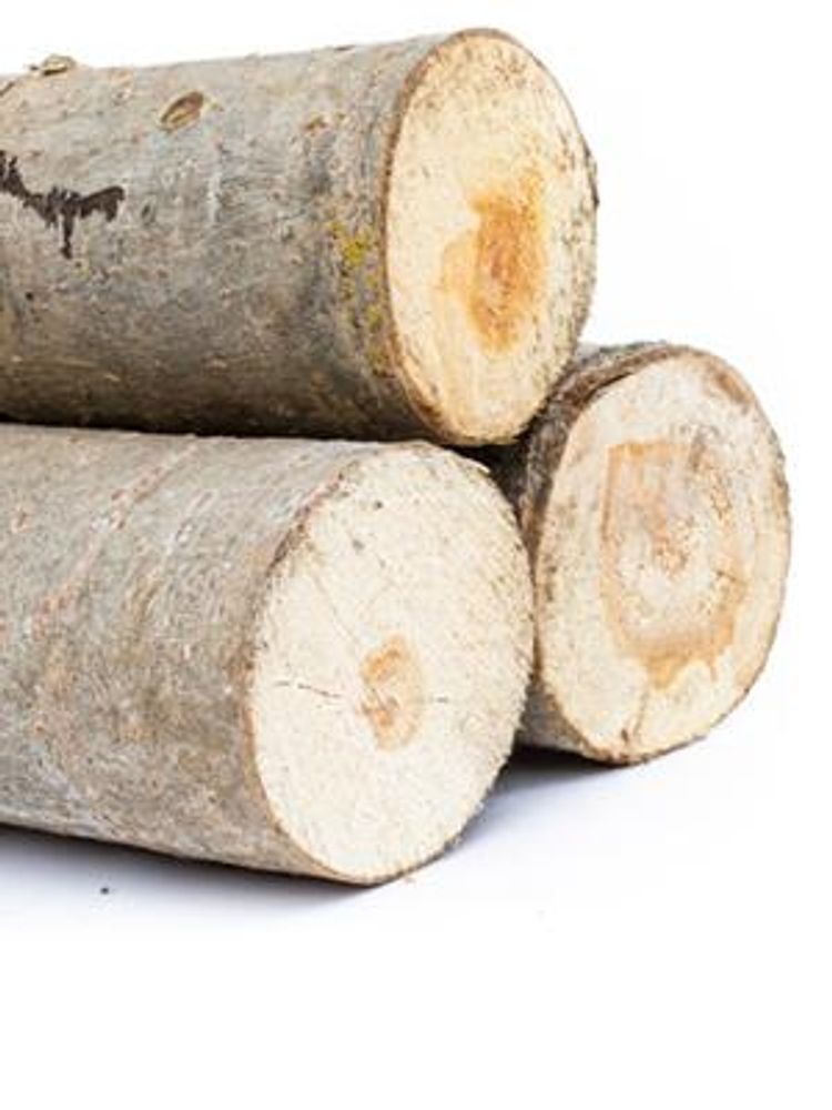 30 Kg Anzündholz Eiche, TROCKEN Anmachholz Anfeuerholz Brennholz Kaminholz Anzünder