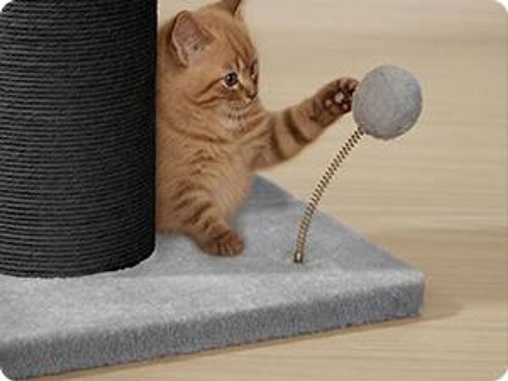 FEANDREA Katzenbaum, 17 cm dicker Stamm, Katzenbaum, Sisalstamm, mit Plüschball und Glocke, schwarz