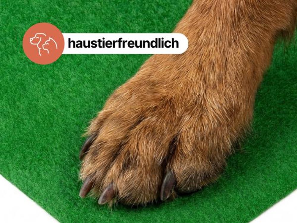 Rasenteppich Magic Forest Outdoor Kunstrasen Anthrazit Terrasse Balkon Wetterfest 400 x 700