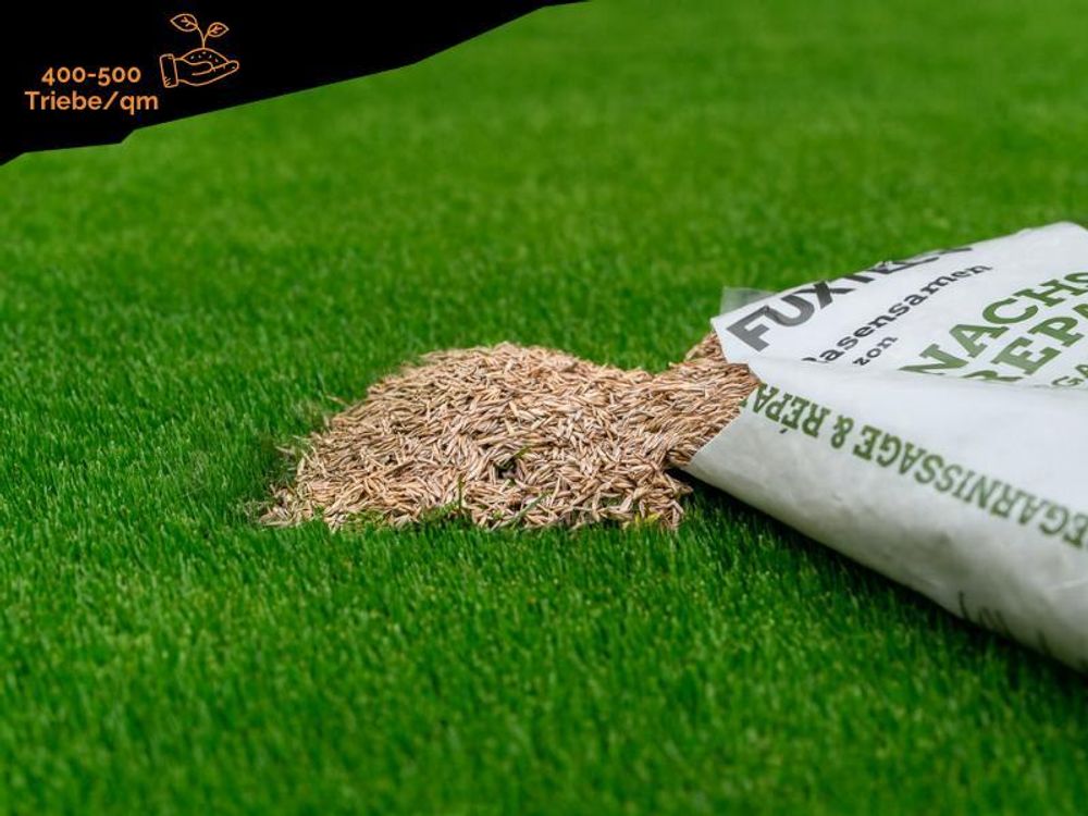FUXTEC Rasensamen Nachsaat FX-RSNR1 | 1kg für 30m² | schnellkeimende Grasmischung | Rasenreparatur Frühjahr bis Herbst | Germany