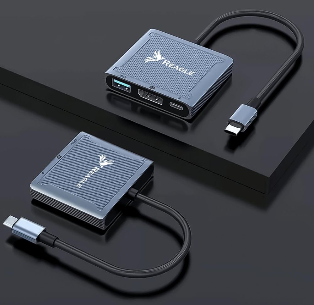 USB C zu DisplayPort Konverter 8K 60Hz Bildadapter mit PD 100W Ladefunktion für iMac Mac mini iPad Pro Windows PC Multiport Hub Reagle