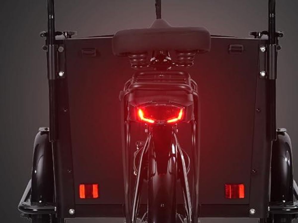 SachsenRAD E-Lastenrad T1, Flexible Transportbox mit Versteckter, LCD Display und StVZO-Zugelassung für Kindertransport, Shimano 7-Gang-Schaltung