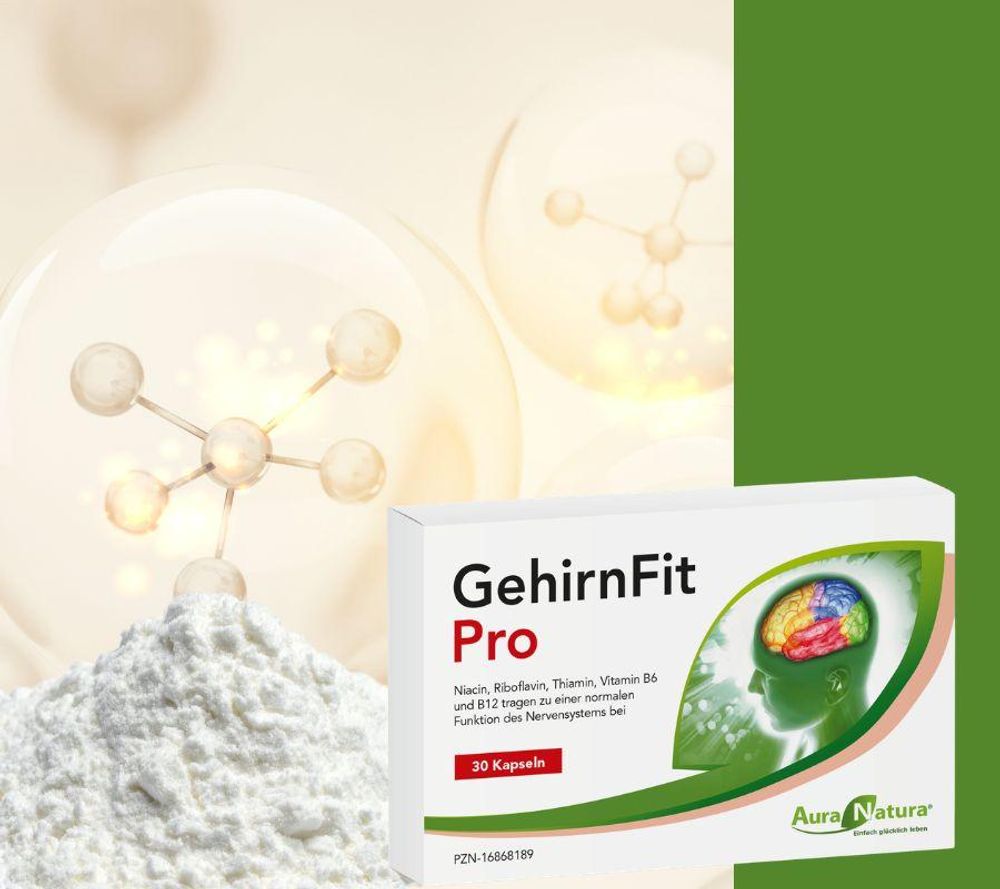 Aura Natura® GehirnFit Pro – zur Unterstützung von Nerven, mentaler Leistung – mit Vitamin B Komplex | Enthält Astaxanthin, Bacopa Monnieri & Pflanzenextrakte | 30 Kapseln – 1 Monat Vorrat
