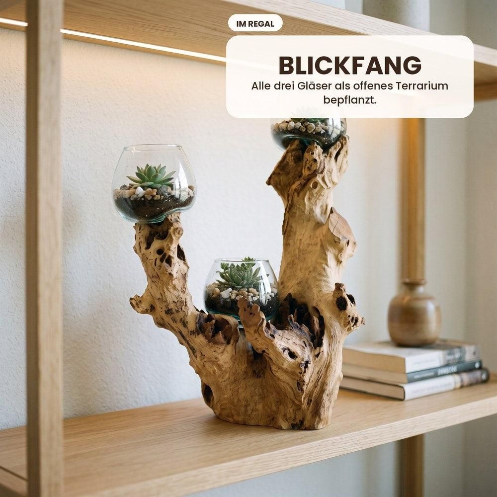 Wurzelholz-Skulptur mit 3 Glasgefäßen, ca. 55 cm: Als offenes Terrarium
