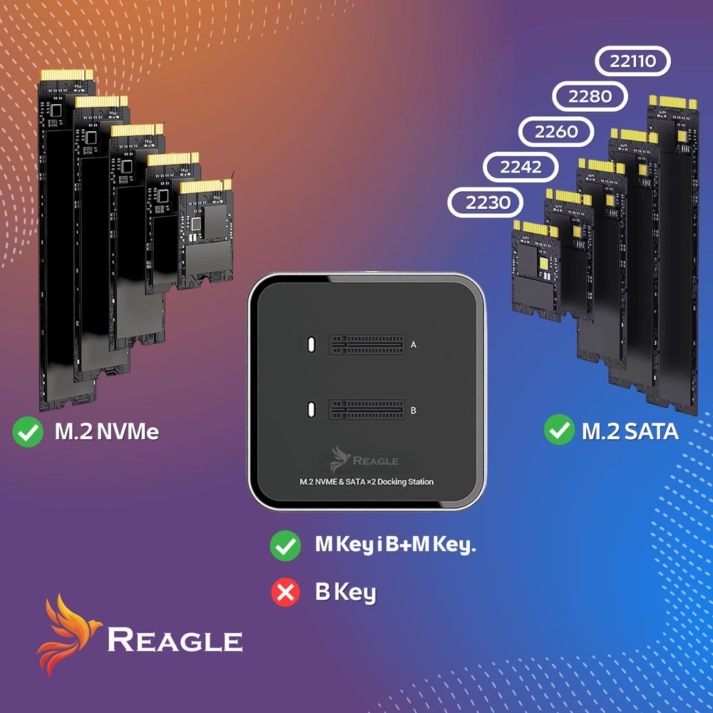 M.2 NVMe SATA SSD Docking Station 10Gbps USB 3.2 Dual Bay Adapter Externes Gehäuse für SSD 22110 2280 Plug and Play Kompatibel mit PC Laptop Reagle