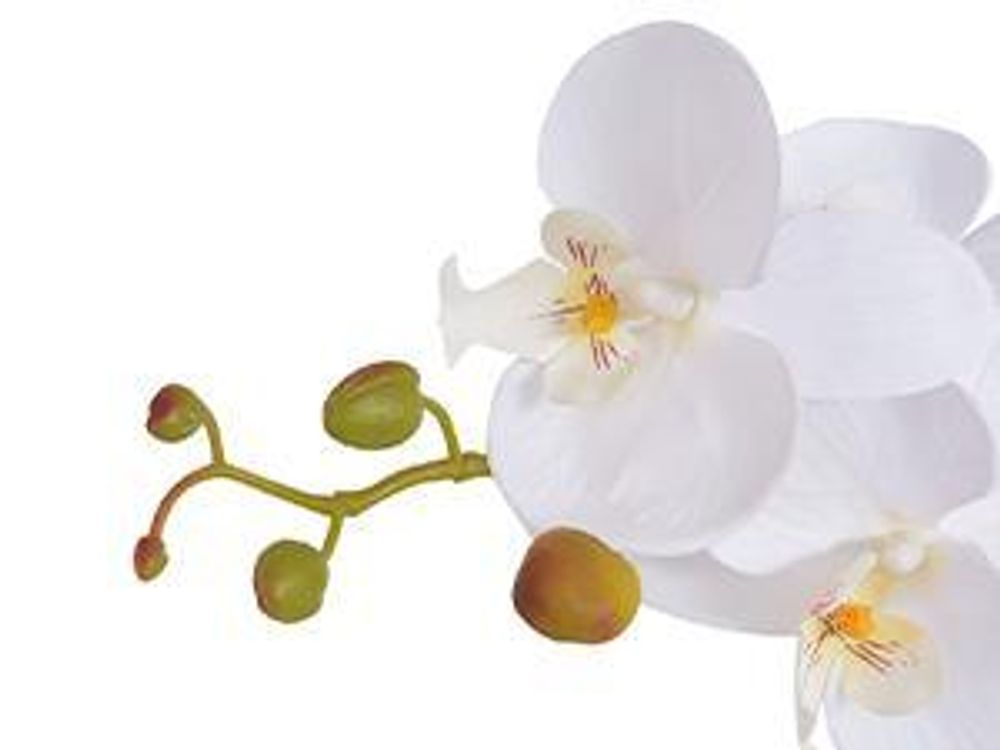 vidaXL Orchidée artificielle avec pot 75 cm blanc
