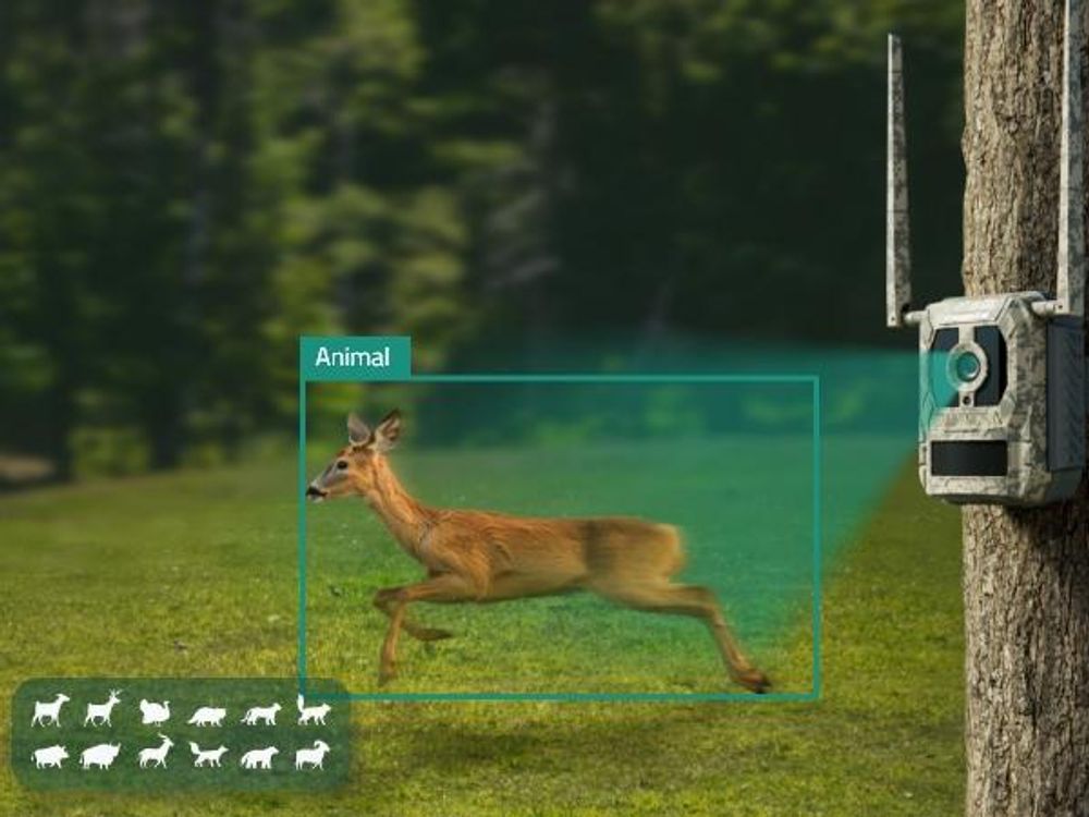 Reolink Camovue Talon Pro, 4K 8MP 4G LTE Akku Überwachungskamera für den Außenbereich, SIM-Karte, Starlight-Nachtsicht, Tierarterkennung