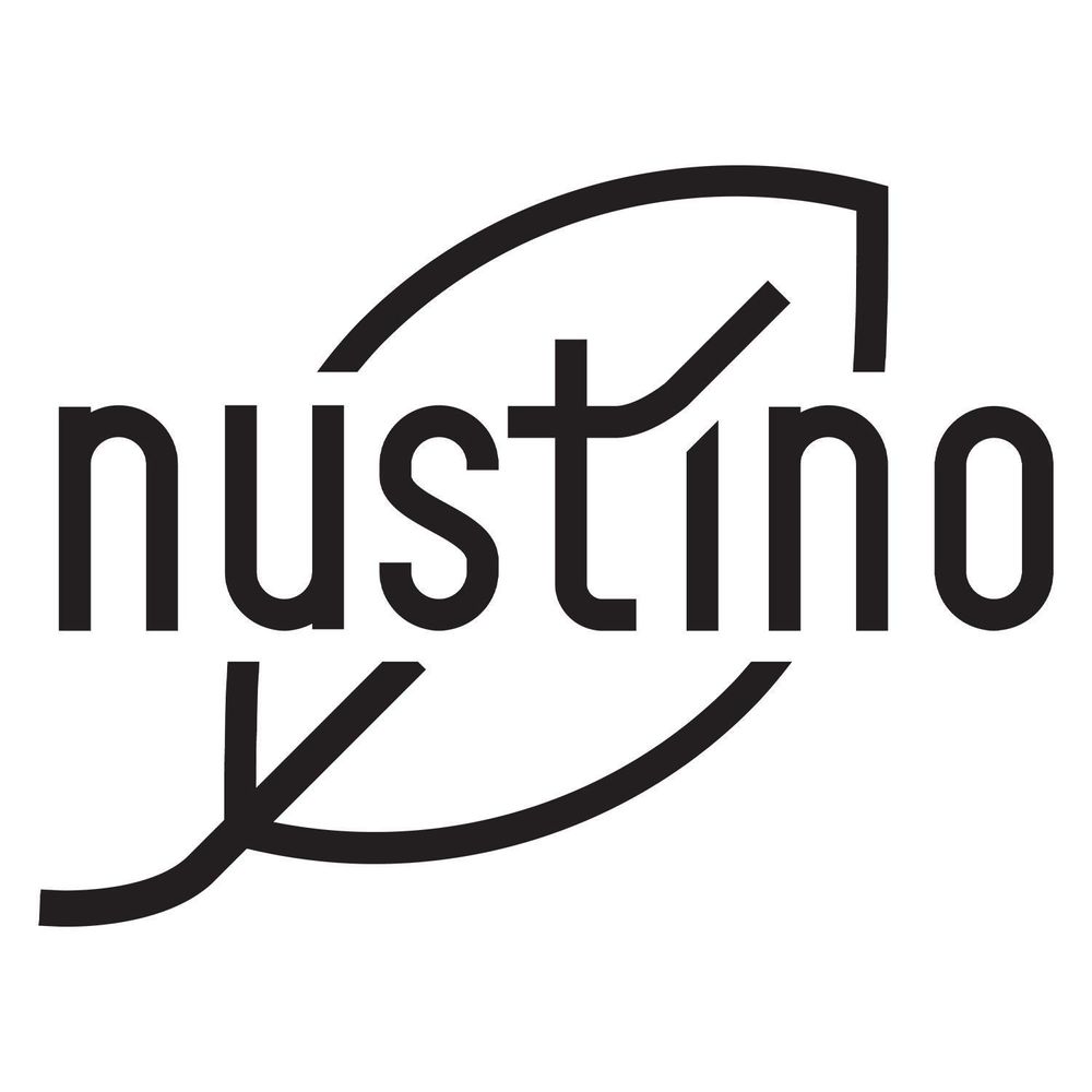 Nustino – Masło orzechowe w proszku Pure 400 g – 100% orzechów ziemnych, o 90% mniej tłuszczu – bogate w białko – bez cukru – o niskiej zawartości tłuszczu – bez oleju palmowego