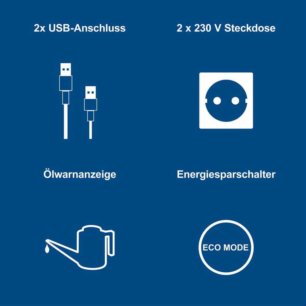 Das Bild zeigt die Keyfacts des Inverters.