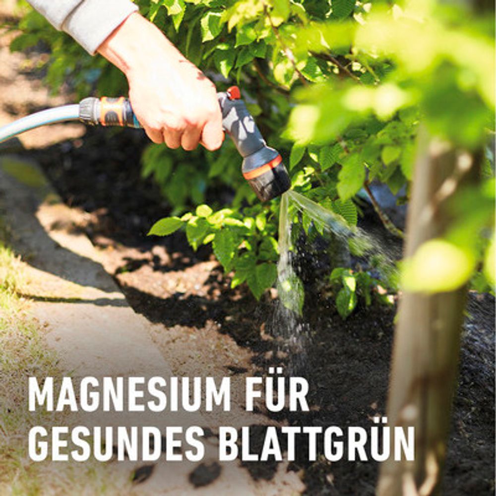 Spezialdünger COMPO Hecken Turbo mineralischer Dünger für immergrüne und sommergrüne Gehölze, Nadelgehölze