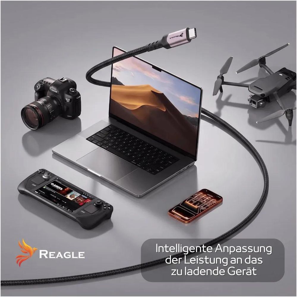 Reagle RUC300S USB-C 240W Kabel – intelligente Leistungsanpassung mit Power