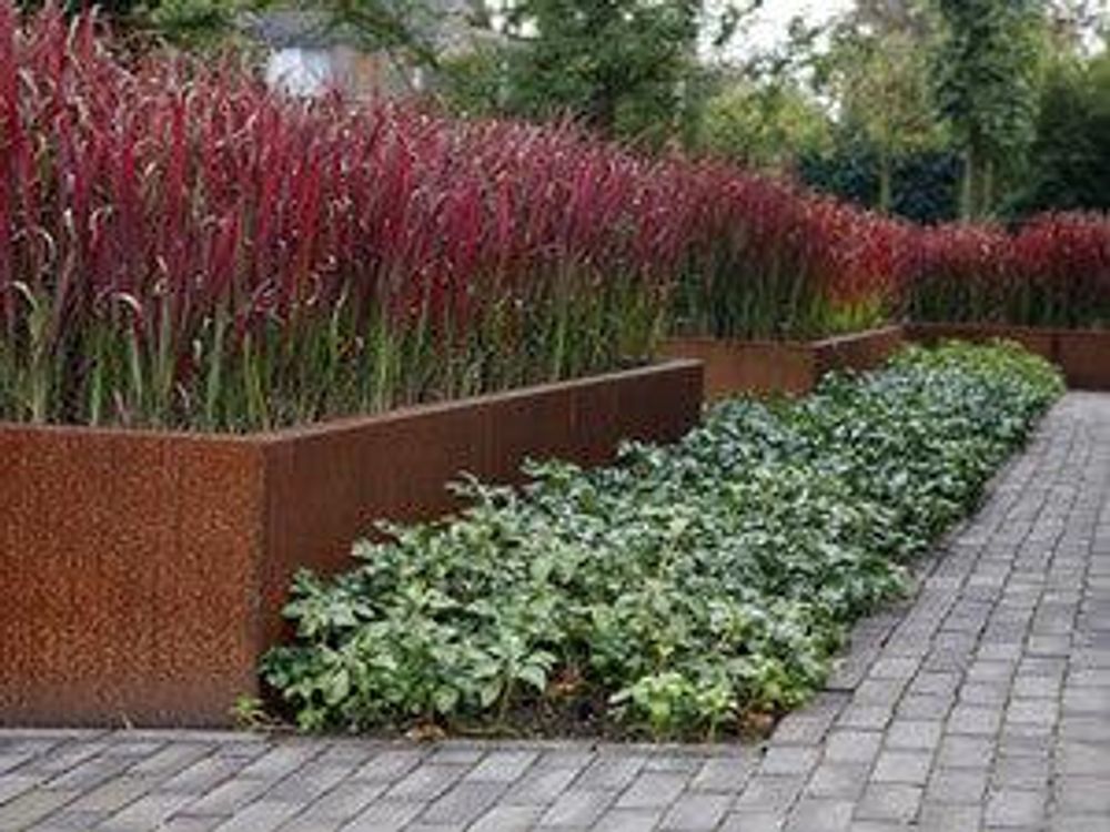Rote Halme über Cortenstahl-Hochbeet, gepflasterter Weg