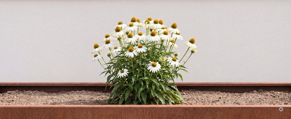 Größe: 40 bis 60 cm, schmal