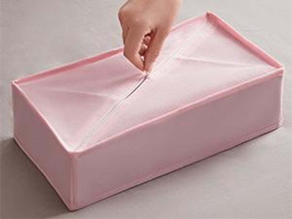 SONGMICS Unterwäsche-Organizer 8er Set, Schubladen-Organizer faltbar