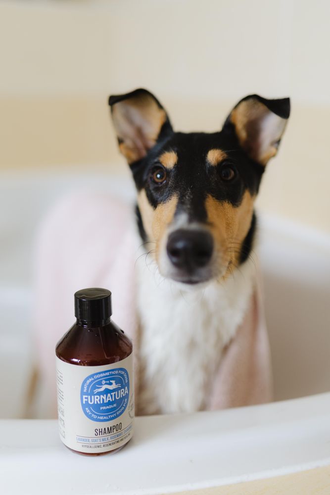Natürliches Welpenshampoo mit Lavendel, Kamille und Rosmarin.