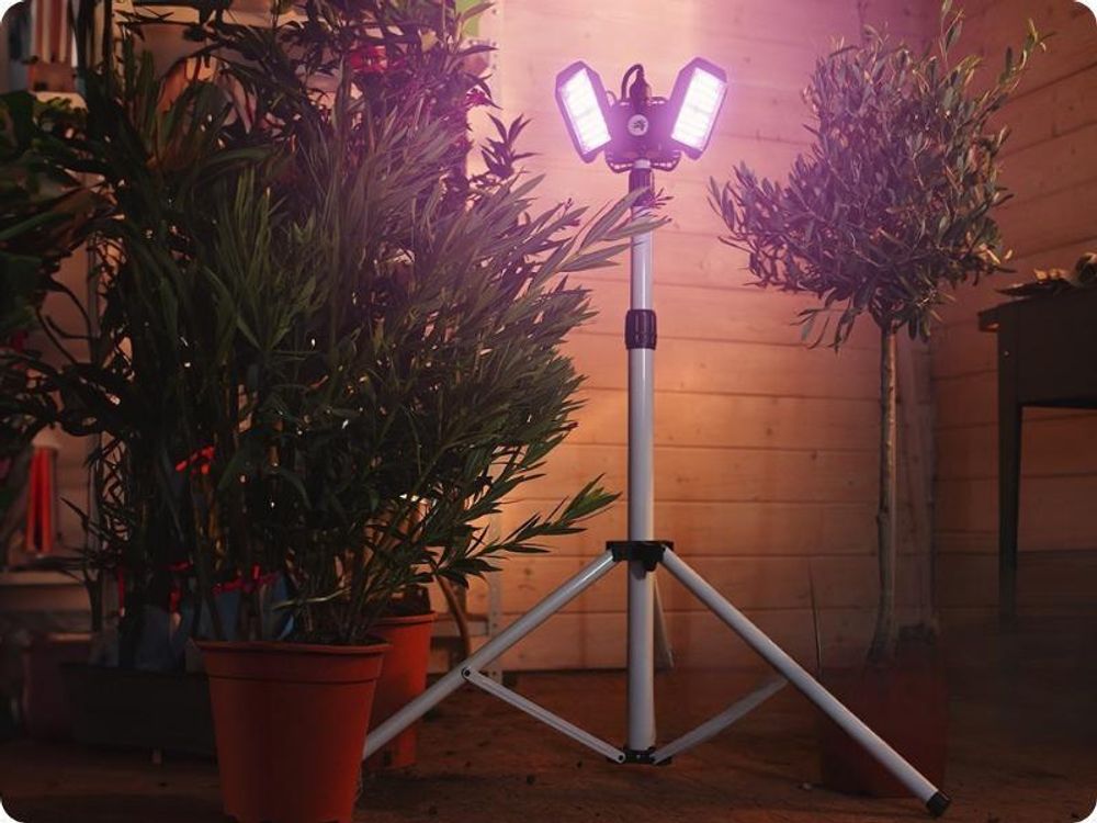 Meine Orangerie - LED-Pflanzenlampe FLEX [100W] - Vollspektrum LED Pflanzenleuchte zur Überwinterung von mediterranen Pflanzen