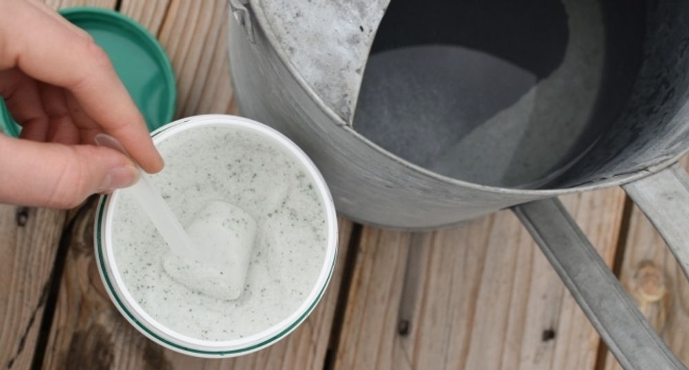 Meine Orangerie Feigenbaum Dünger [1kg] - Premium Dünger für Feigenbäume - Spezielle Formulierung für starke Pflanzen und viele Früchte