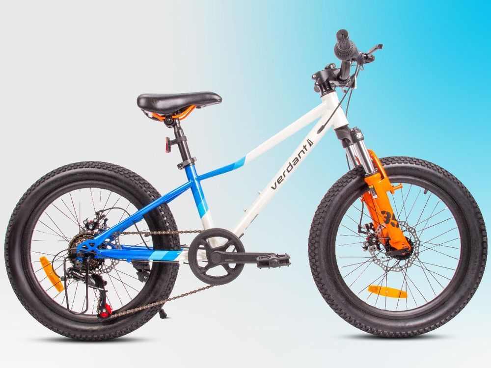 Bicicletta per bambini bicicletta per ragazzi bicicletta per ragazze bicicletta da 20 pollici con cambio a 6 velocità Shimano RevoShift bicicletta ammortizzatore Calix verde bianco