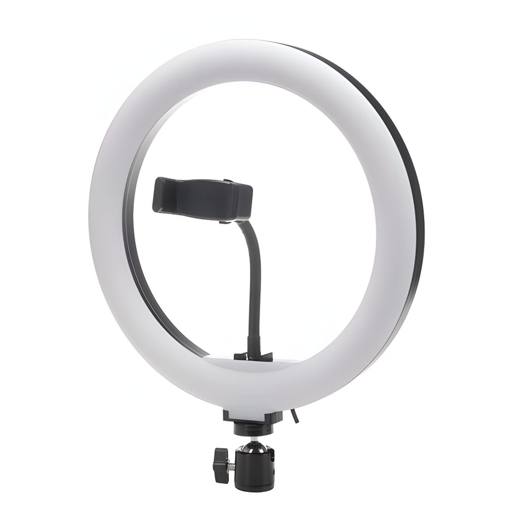 LED-Ringlampe 25 cm USB, Lichtleistung 10 W, verstellbares Stativ bis 210 cm, Lampe für Tik Tok, Instagram, YouTube, 3 Beleuchtungsmodi,