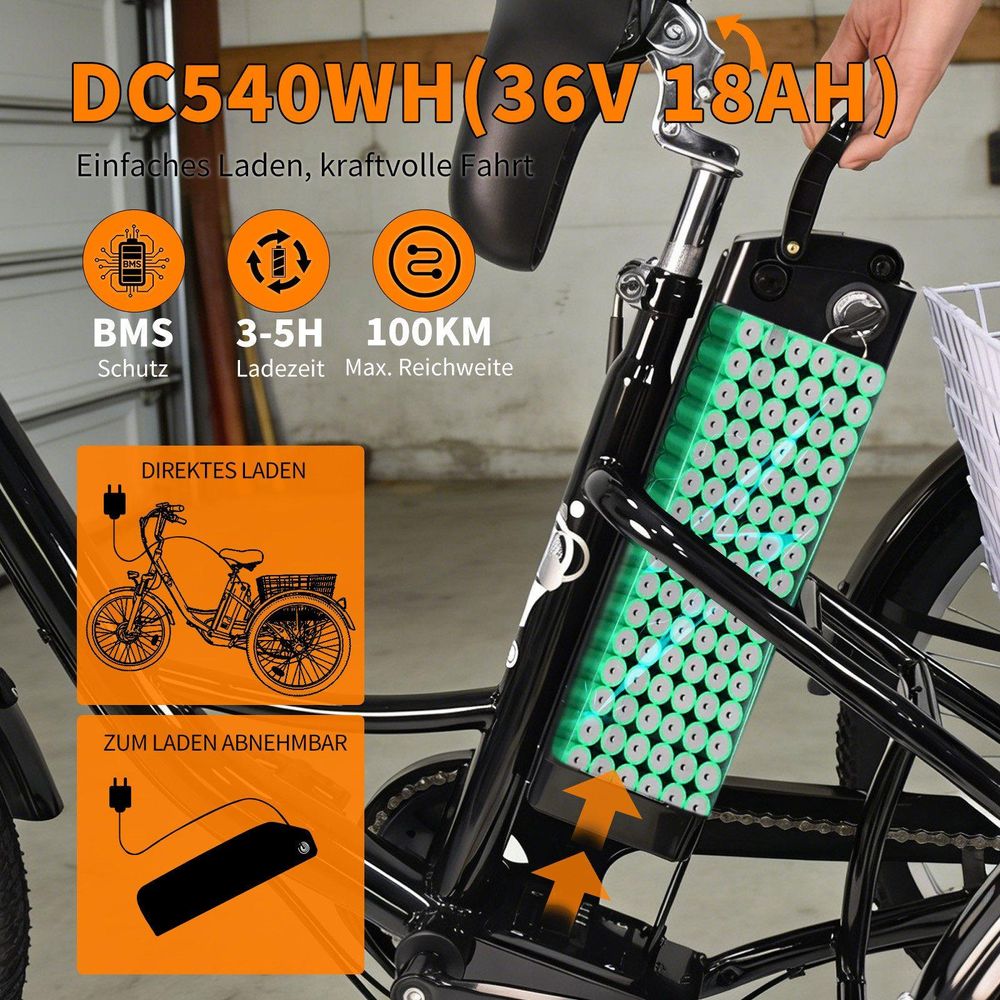 Entnehmbarer 36-V-/18-Ah-Akku des Draixcor M300