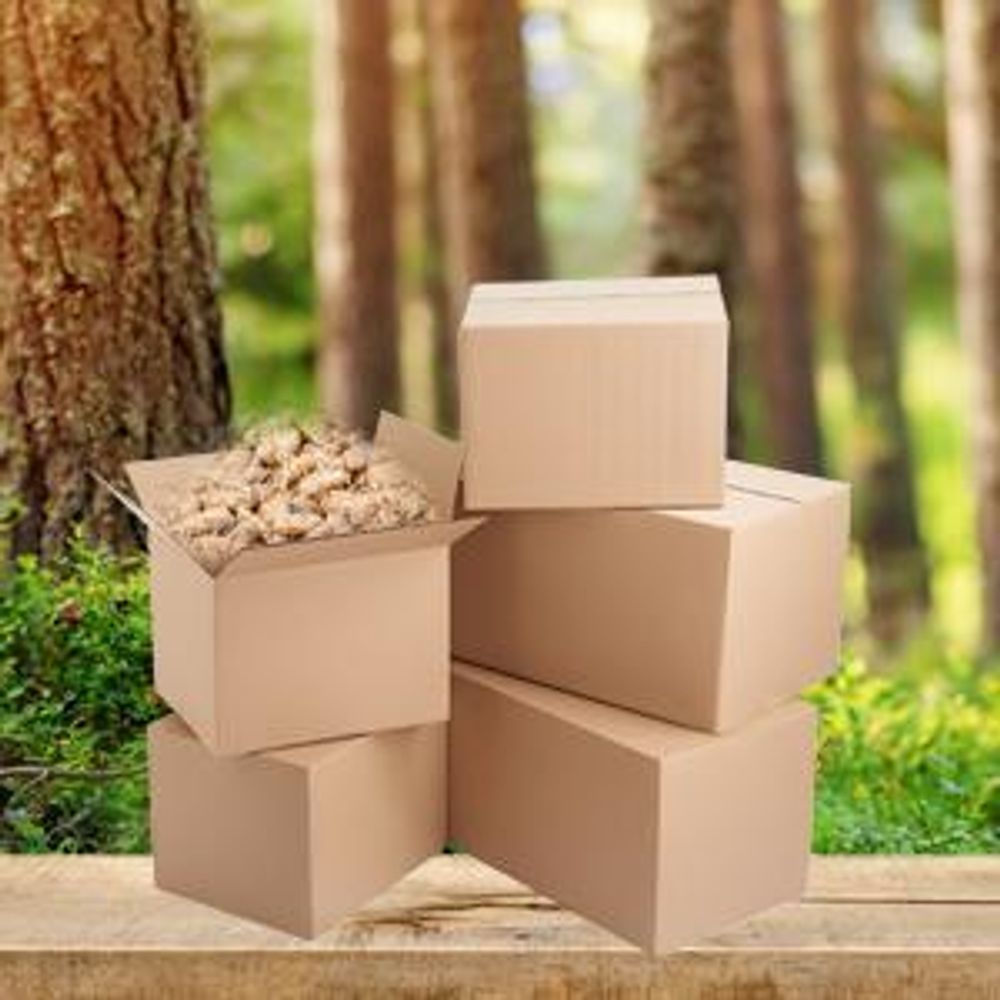 Anzünder Holzwolle 2,5kg Karton