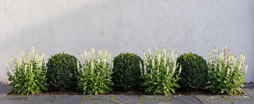 Größe: 25 bis 30 cm