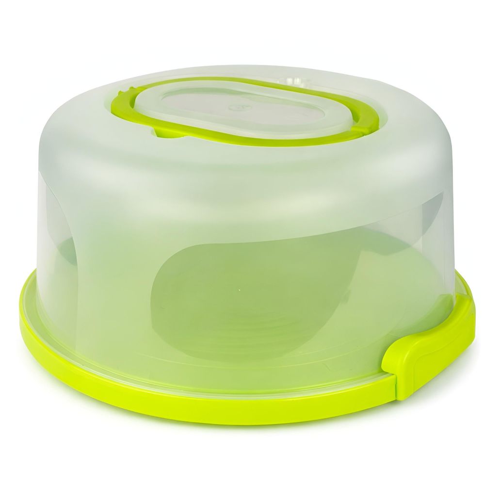 WELLHAUS Kuchenbehälter Grün 25x21x12,5 cm – Transportbox mit Deckel