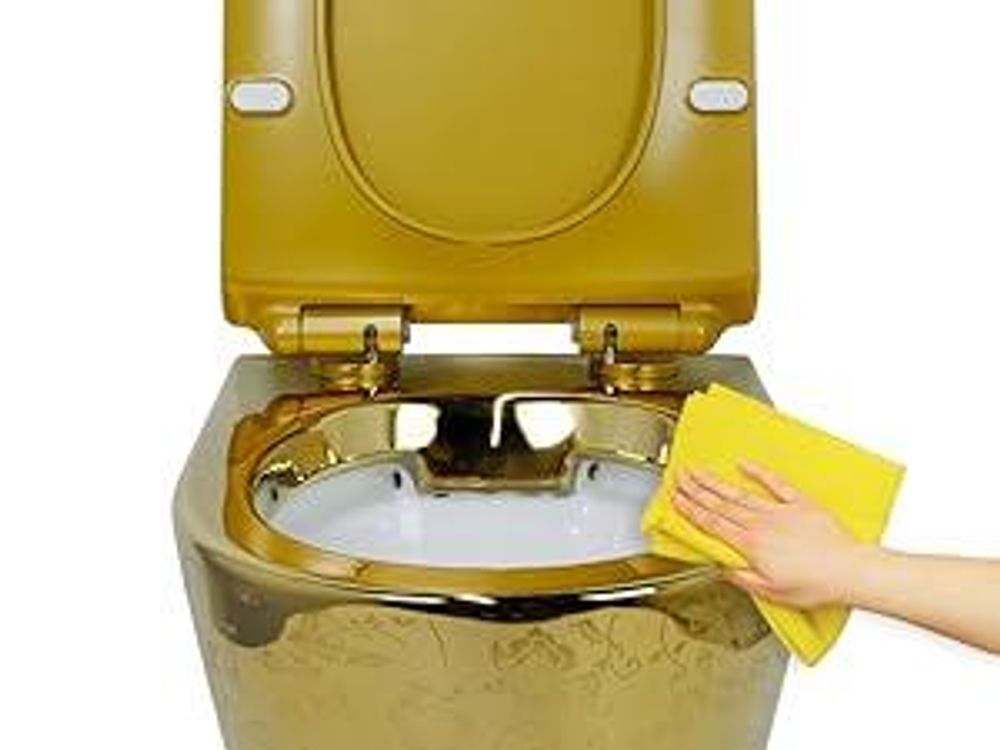 LAVITA Wand-WC Sofi Slim Golden Eye | HŠnge Toilette | Toilettendeckel mit Absenkautomatik & Metallscharniere | Toiletten SpŸlrandlos HŠngend | Toilettenbecken | 365x490x395 cm | Gold