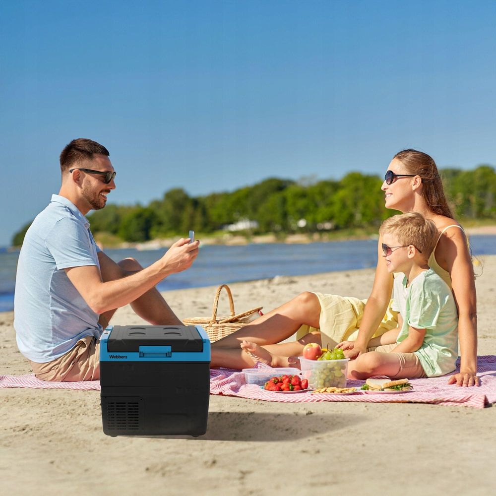 Anschlussmöglichkeiten 12 24 V und 230 V der Kühlbox