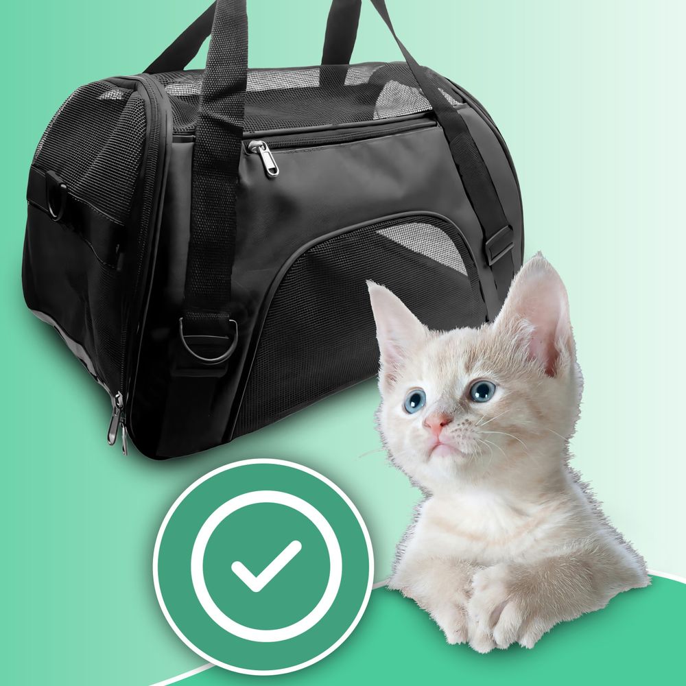 Atmungsaktiver Haustier Rucksack für Katzen & Hunde - Tragetasche bis 20 kg, faltbar, verstellbare Gurte, Reflektorstreifen, 53 x 32 x 26 cm – Retoo