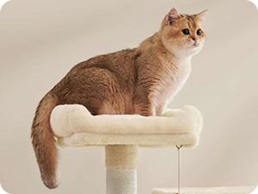 Feandrea Kratzbaum, 155 cm, mit 5 Kratzsäulen, 2 Plattformen, 2 Katzenhöhlen, beige
