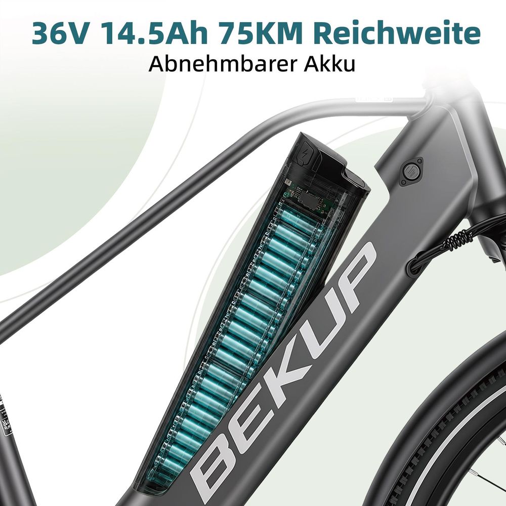 V2 Stadt-Elektrofahrrad, 36V, 250W, 25 km/h, mechanische Doppelscheibenbremse, 125 kg, grün