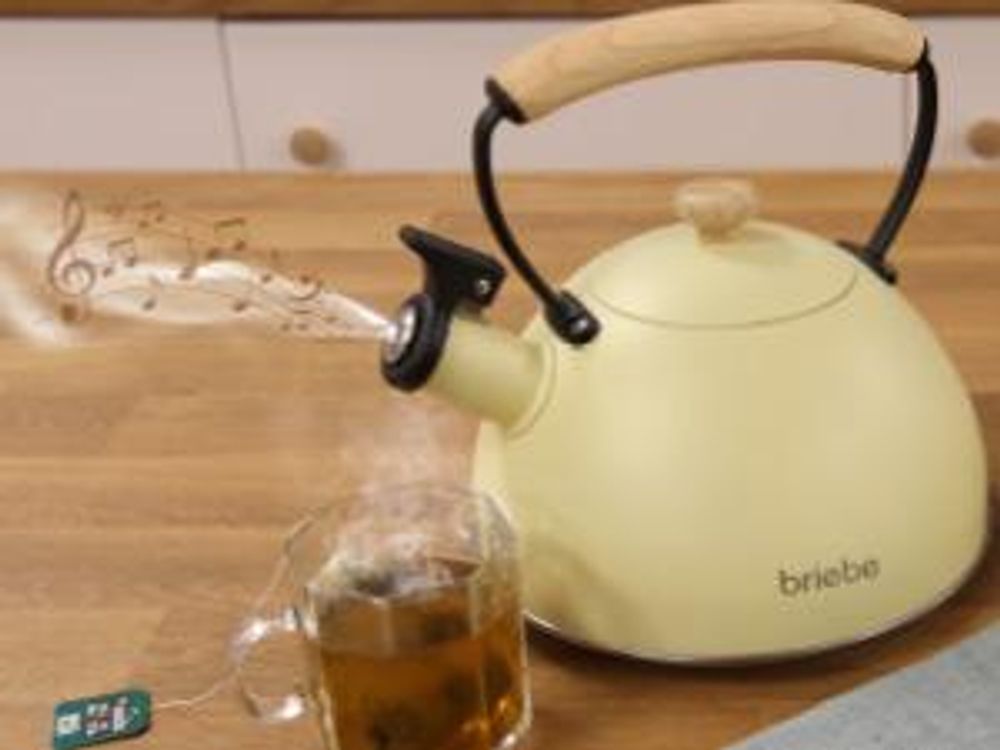 Briebe Pastel Wasserkessel Induktion Flötenkessel 2,3L Edelstahl, Retro Holzgriff Gelb