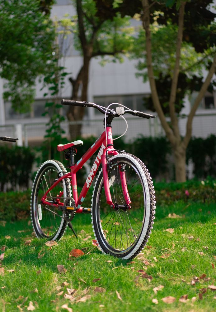 JOYSTAR 20 Zoll Kinderfahrrad für Jungen & Mädchen im Alter von 7-12 Jahren Hardtail Mountainbike für Kinder mit 1-Gang, Weiß