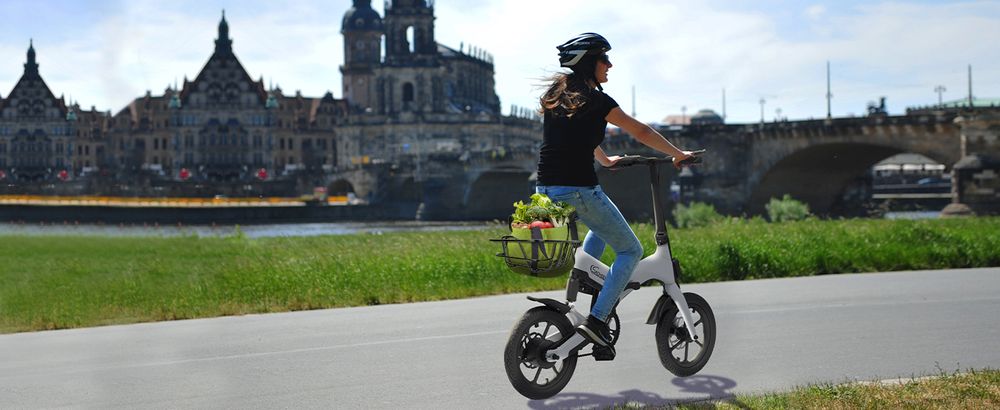 SachsenRAD Fahrrad-Heckträger mit Korb für F11 und F12, Fahrradkorb hinten Gepäckträgerkorb Fahrrad Hinterradkorb engmaschig Korb