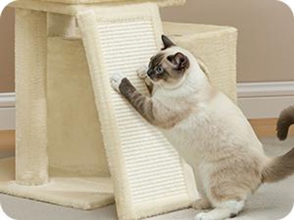 Feandrea Kratzbaum, Katzenbaum mit Kratzsäulen, Rampe, Katzenkratzbaum, 2 große Plattformen, Höhle und Korb, 85,8 cm hoch, sandbeige