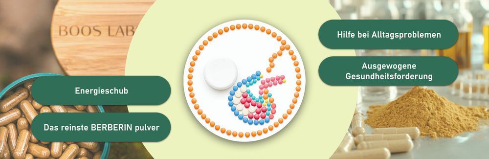 BOOS LABS Berberin I 500mg I 150 vegane Kapseln I Berberin Kapseln Hochdosiert, Berberine