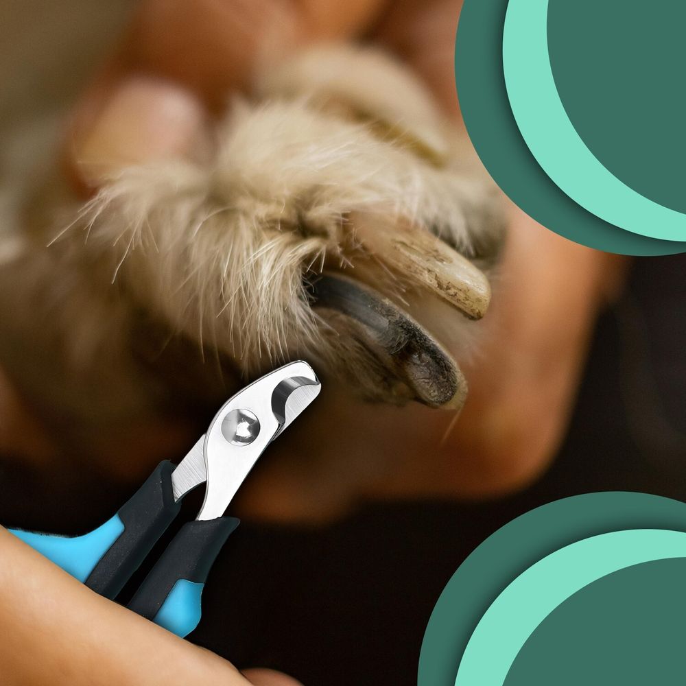 Pfotensichere Hunde, Krallenschere Katzen, Krallenschneider, Krallenzange, Nagelfeile, Retoo